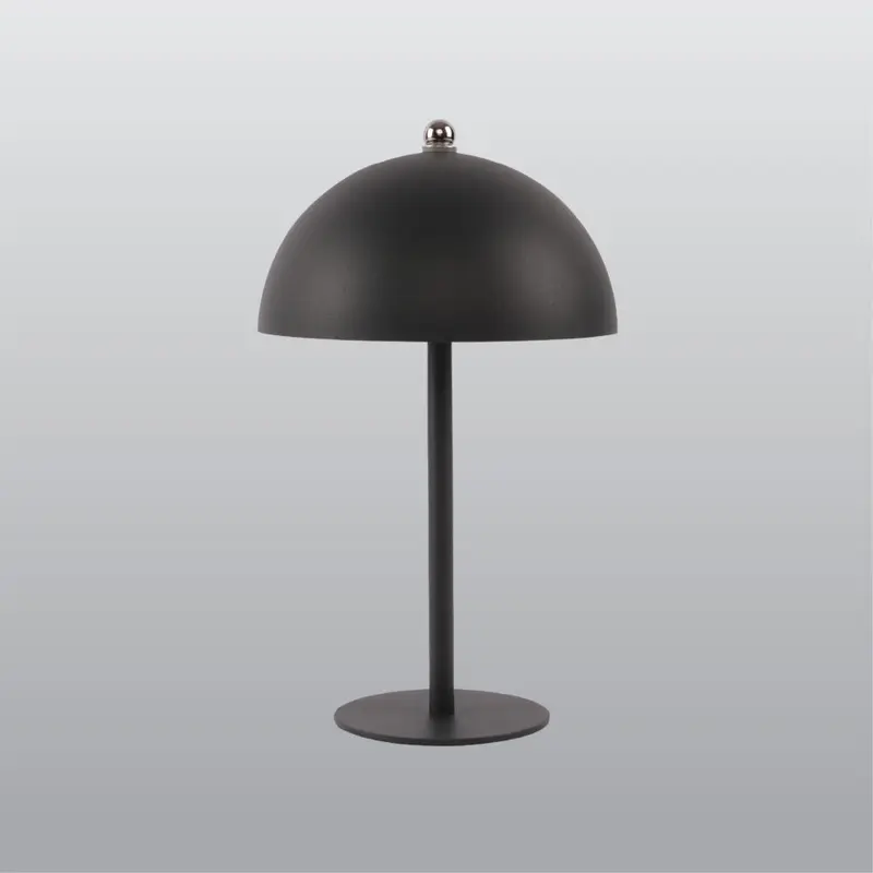 ACK LED Dekoratif Metal Masa Lambası Ø160
