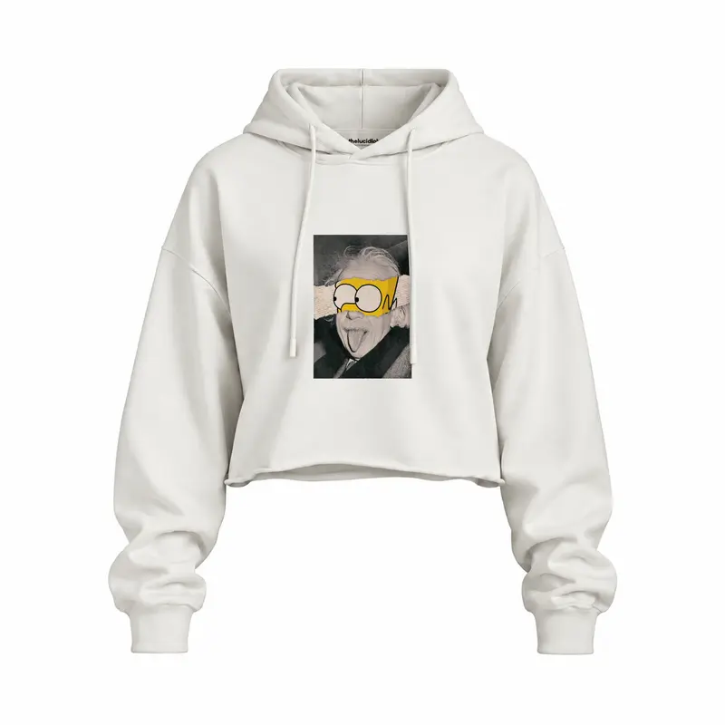 Albert Einstein / Homer Simpson Oversize Crop Hoodie
