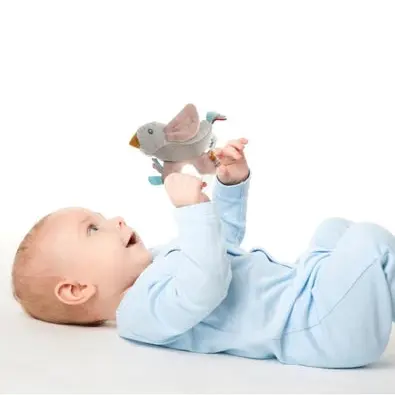 Babyjem Çıngıraklı Lori Pudra