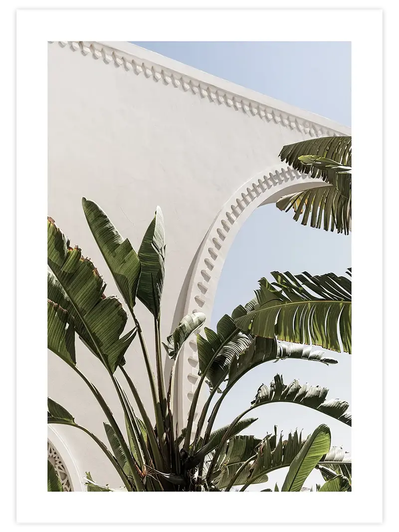 Banana Tree - Art Print