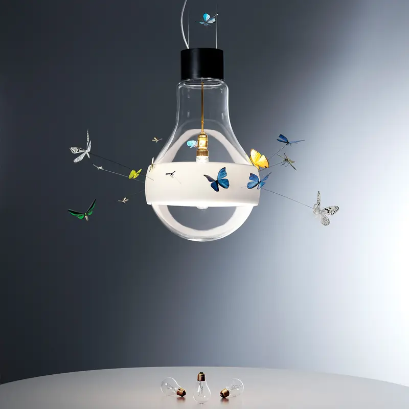 BUTTERFLIES DREAMING