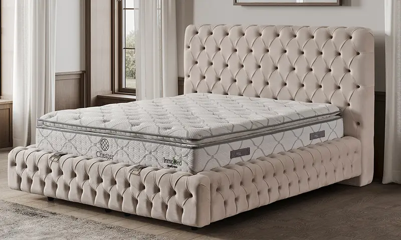Chester Modern Baza Başlık ve Yatak Set