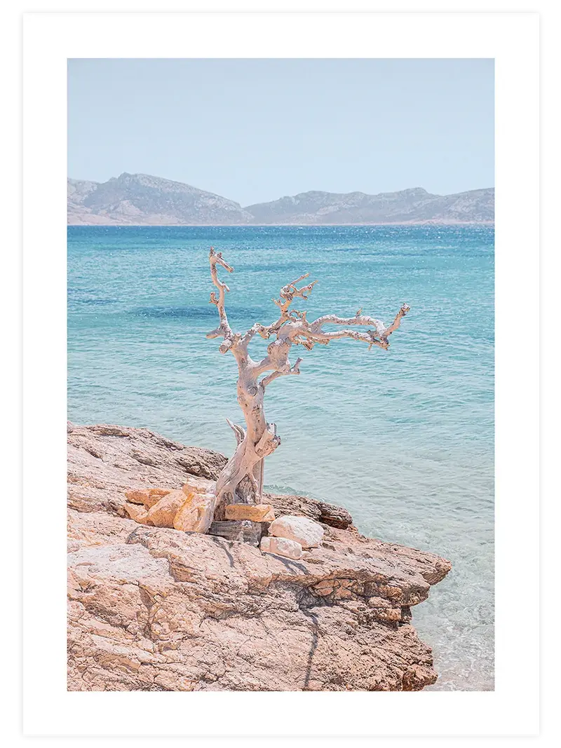 Clear Horizon – Art Print