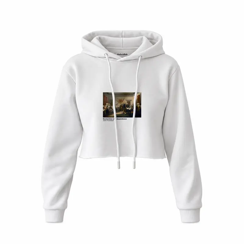 Declaration of Independence Crop Hoodie