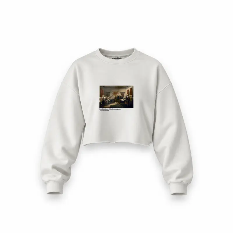 Declaration of Independence Oversize Crop Sweatshirt