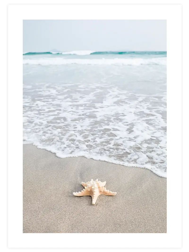 Deniz Yıldızı Sahili – Art Print