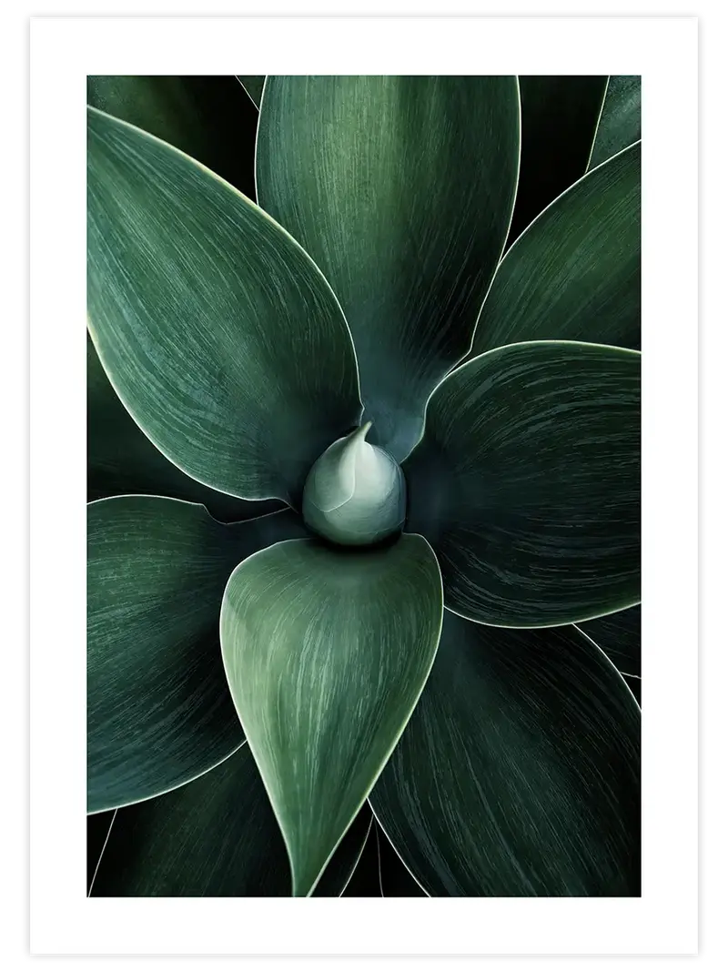 Doğanın Sanatı - Art Print