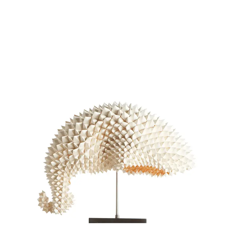 DRAGON'S TAIL