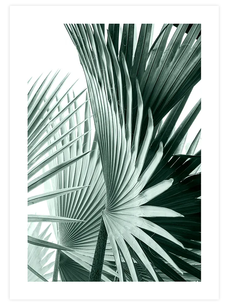 Estetizm - Art Print