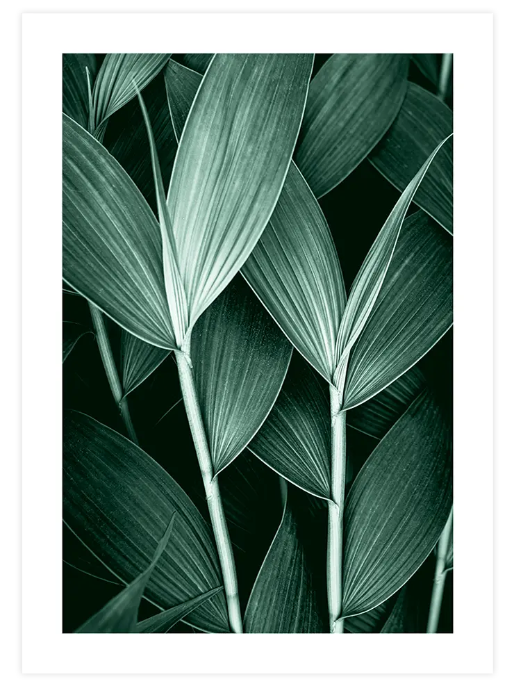 Estetizm N3 - Art Print