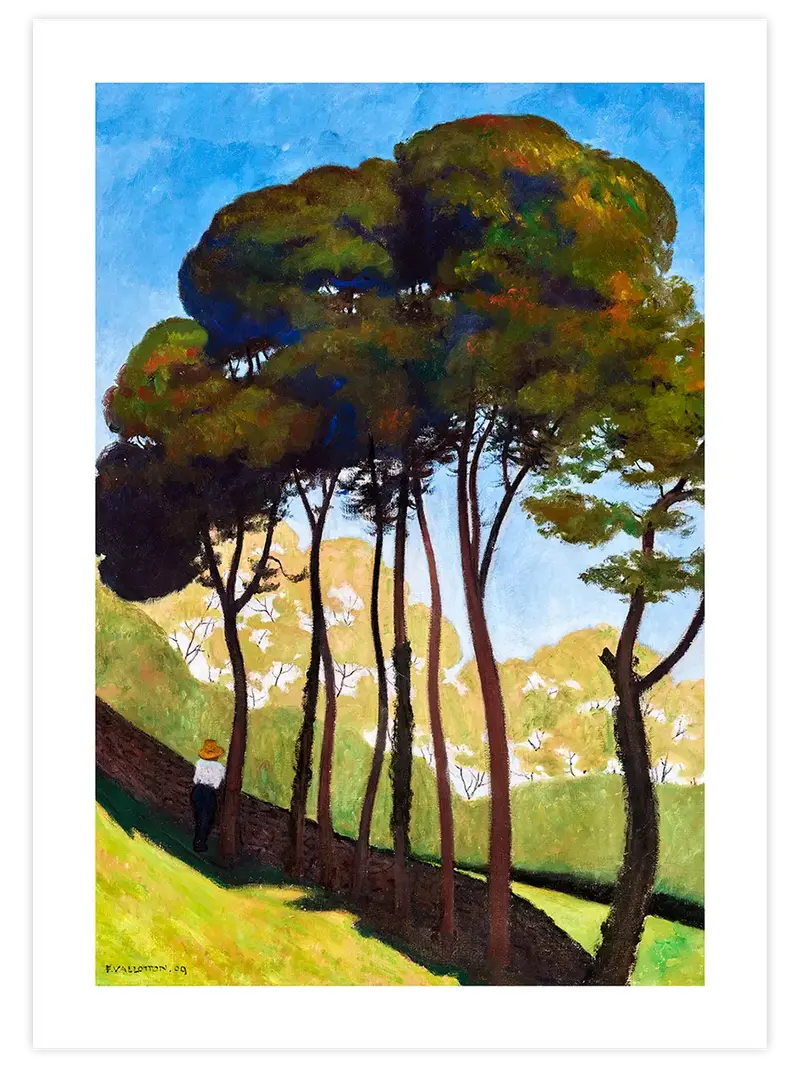 Félix Vallotton The Big Trees, Around Honfleur - Art Print