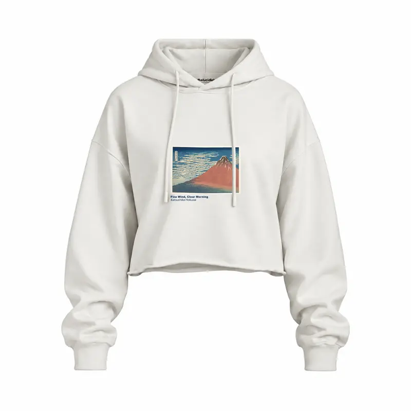 Fine Wind, Clear Morning Oversize Crop Hoodie