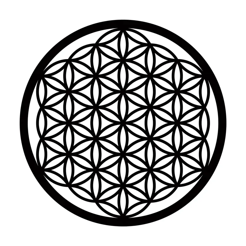 Hayat Çiçeği Metal Duvar Panosu - Siyah