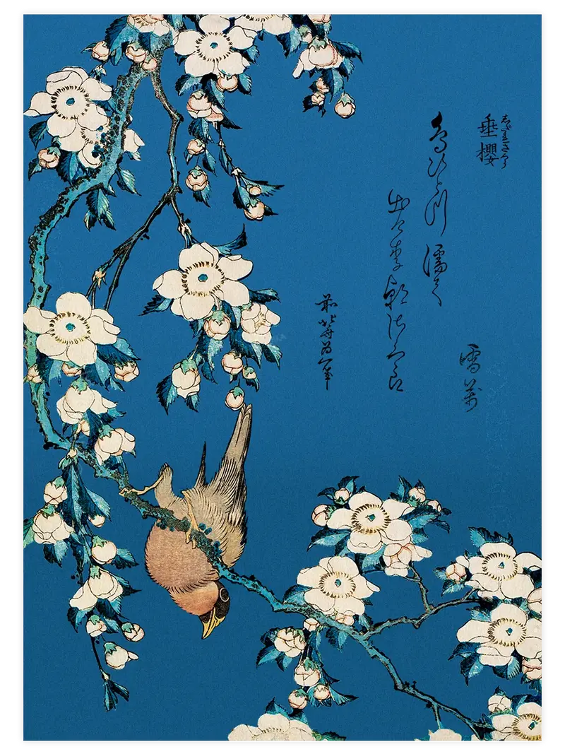 Hokusai Bullfinch and Weeping Cherry - Art Print