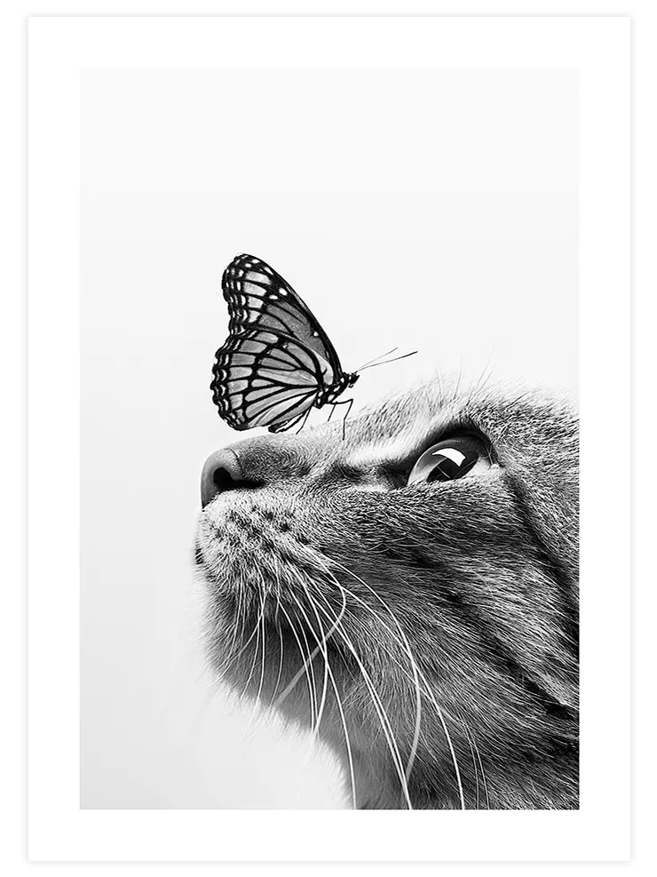 Kedi - Art Print