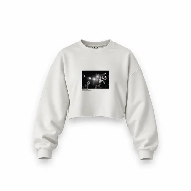 Led Zeppelin Pontiac Silverdome 1977 Oversize Crop Sweatshirt