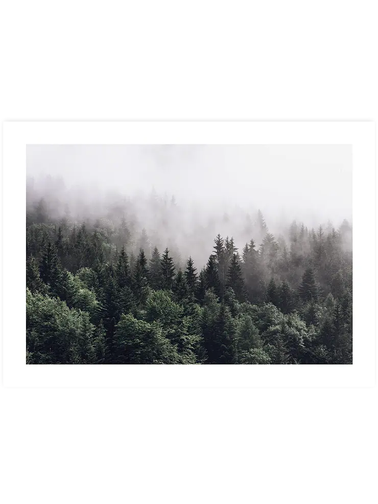 Minimalist Orman - Art Print