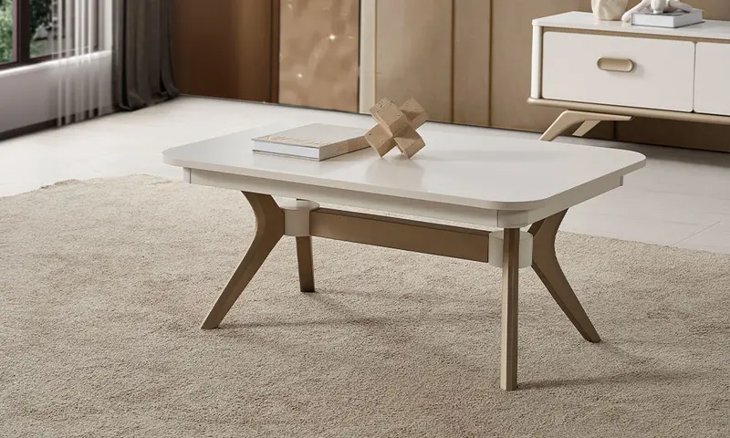 Noya Modern Orta Sehpa
