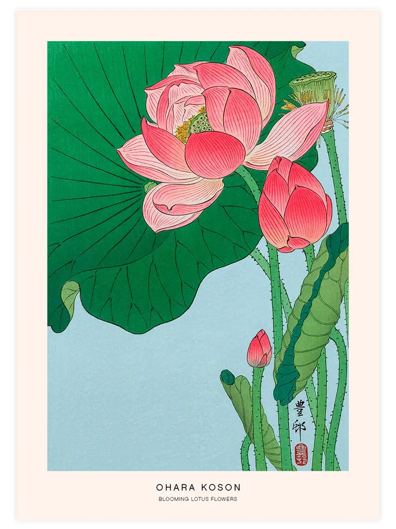 Ohara Koson Blooming Lotus Flowers - Art Print
