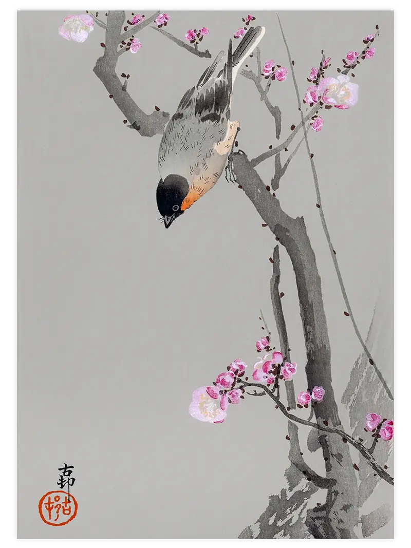 Ohara Koson Bullfinch Perched - Art Print