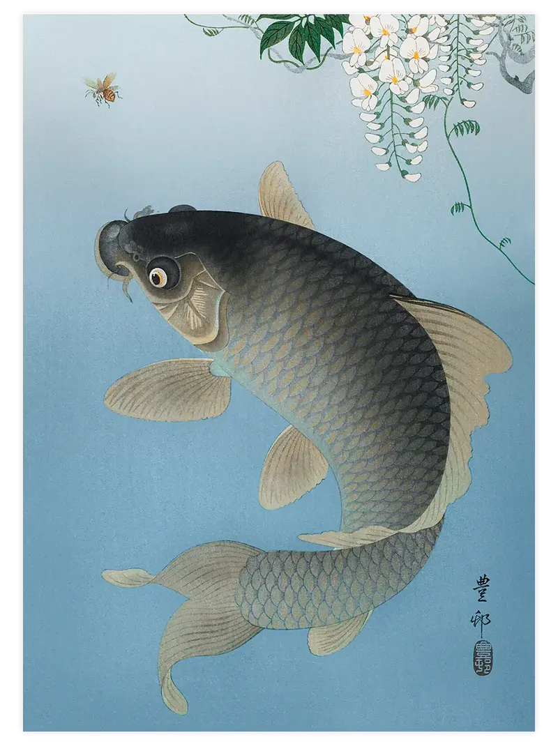 Ohara Koson Carp and Wisteria - Art Print
