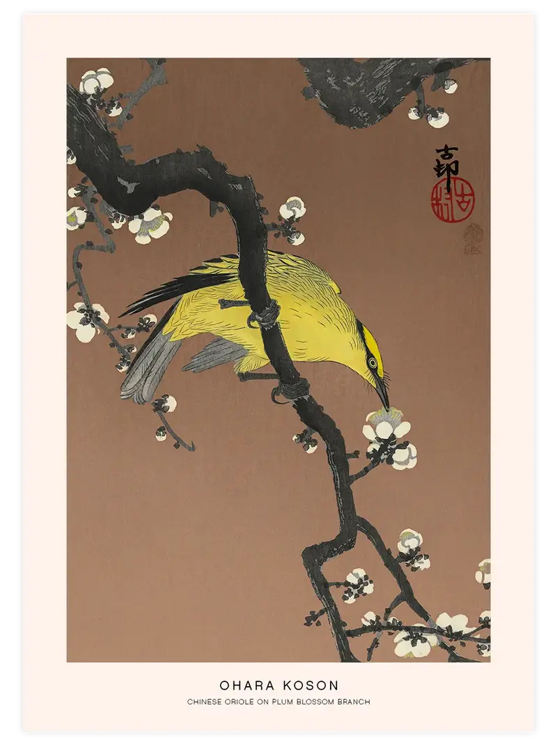 Ohara Koson Chinese Oriole - Art Print
