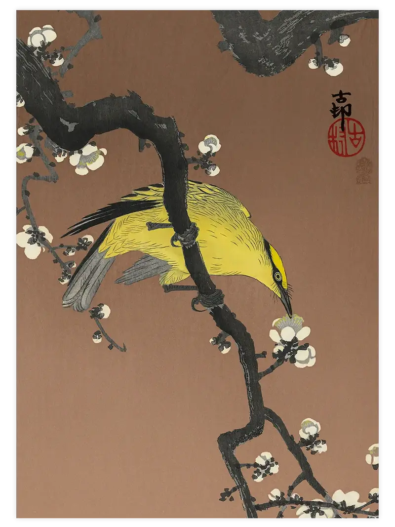 Ohara Koson Chinese Oriole - Art Print