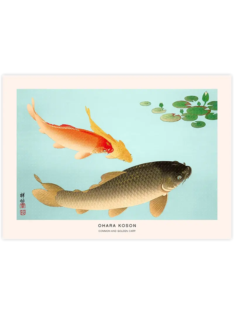 Ohara Koson Common and Golden Carp - Art Print