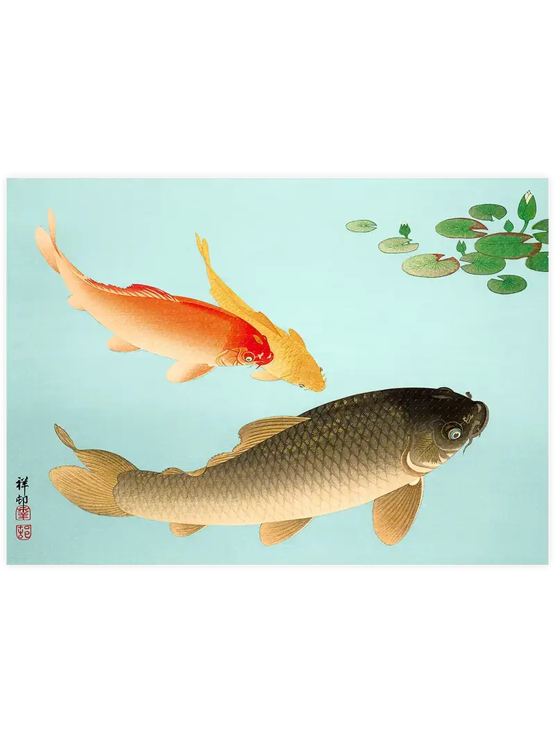 Ohara Koson Common and Golden Carp - Art Print