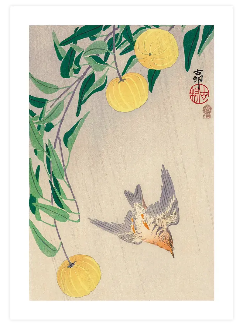 Ohara Koson Cuckoo in the Rain - Art Print