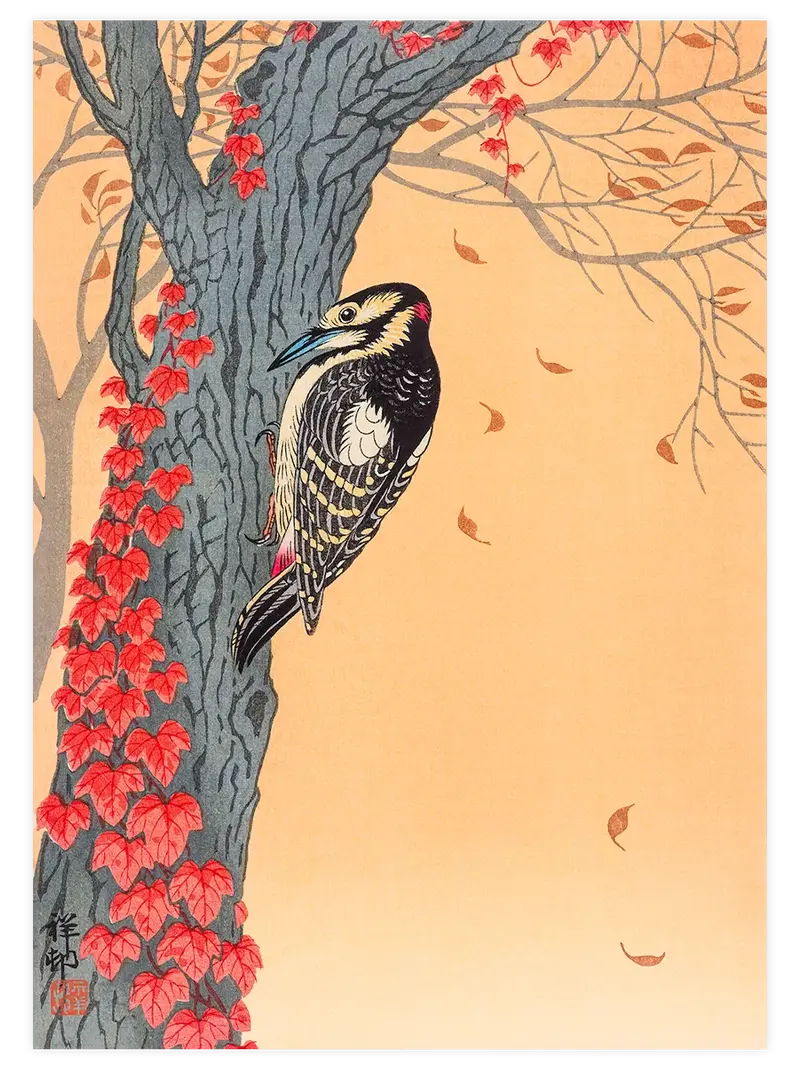 Ohara Koson Great Spotted Woodpecker - Art Print