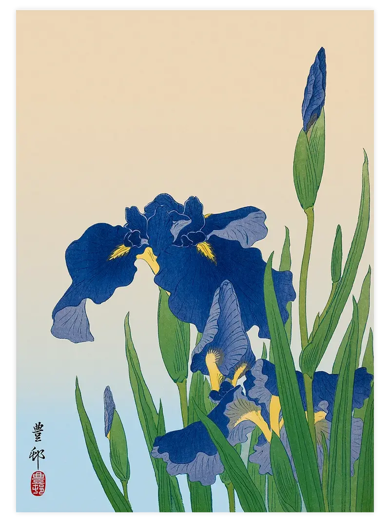 Ohara Koson Iris - Art Print