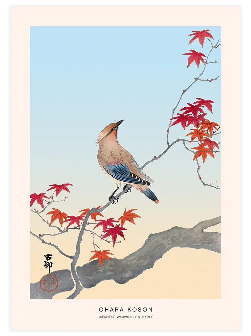 Ohara Koson Japanese Waxwing on Maple - Art Print