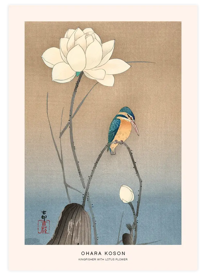 Ohara Koson Kingfisher with Lotus Flower - Art Print