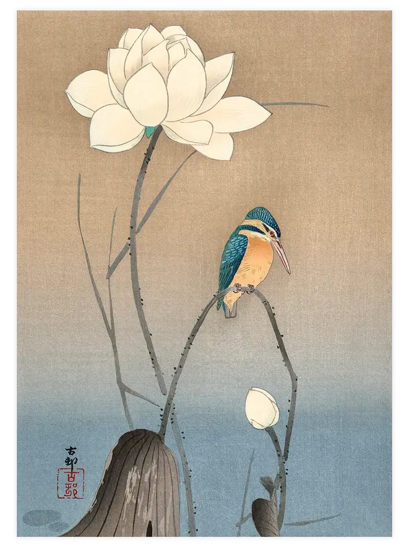 Ohara Koson Kingfisher with Lotus Flower - Art Print
