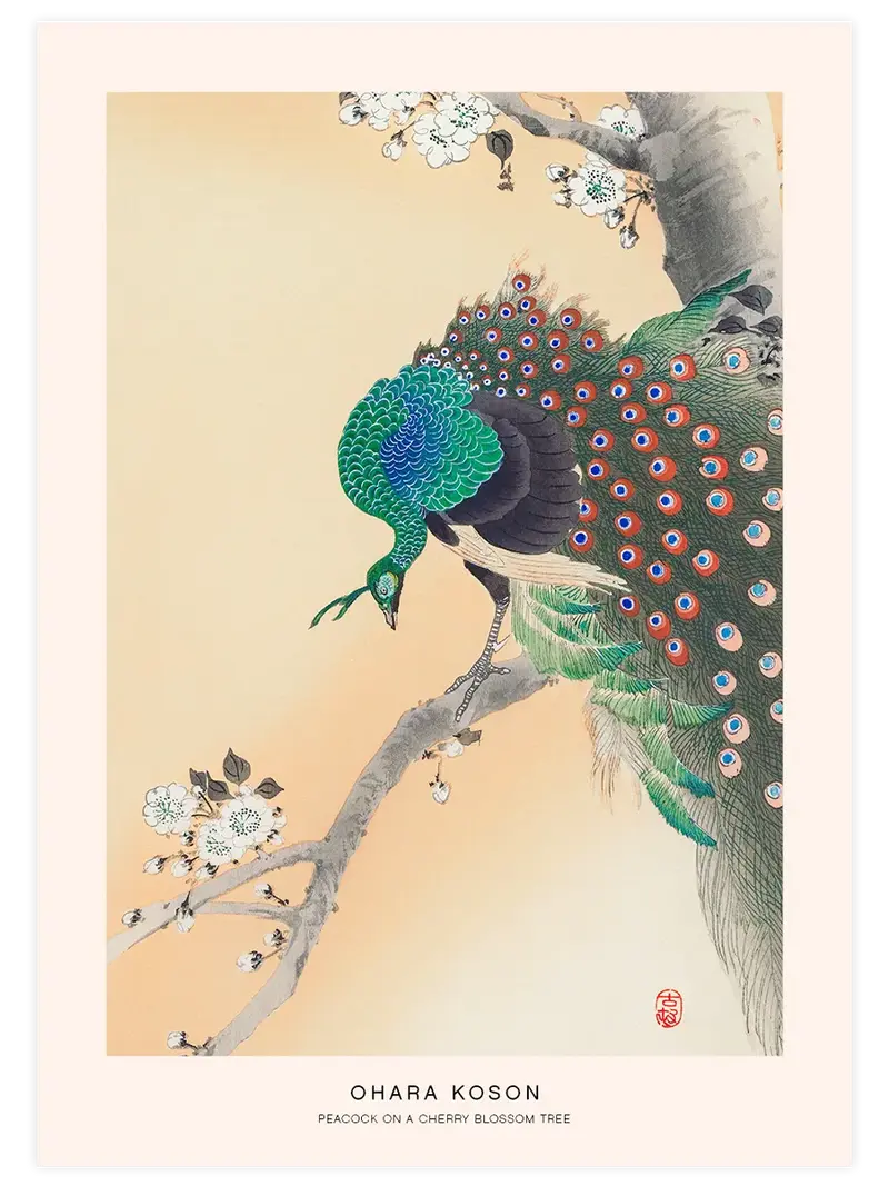 Ohara Koson Peacock On A Cherry Blossom Tree - Art Print