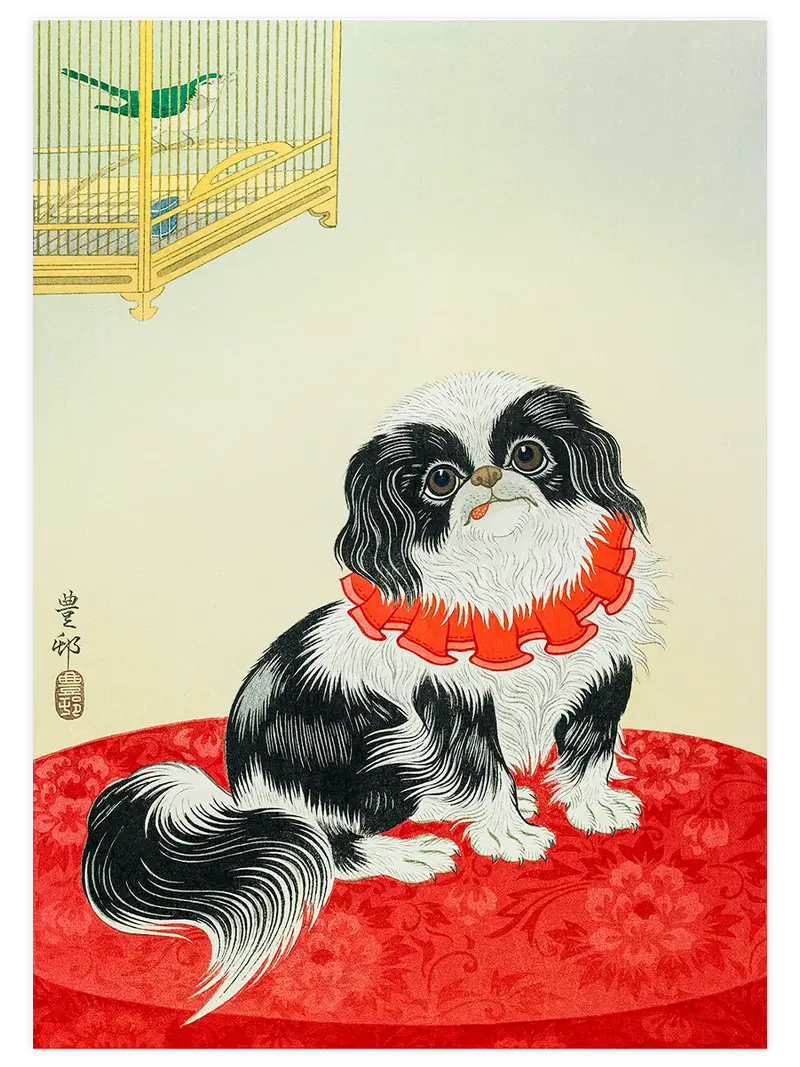 Ohara Koson Pekingese Dog - Art Print