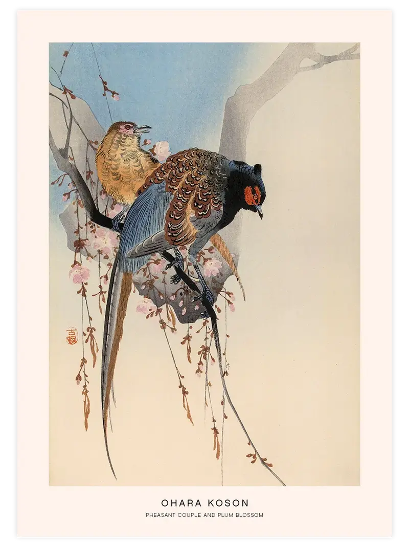 Ohara Koson Pheasant Couple and Plum Blossom - Art Print
