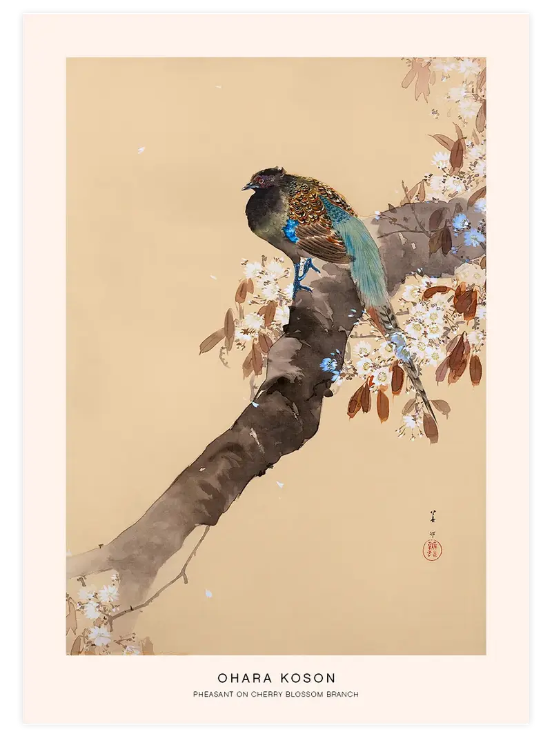 Ohara Koson Pheasant On A Cherry Branch - Art Print