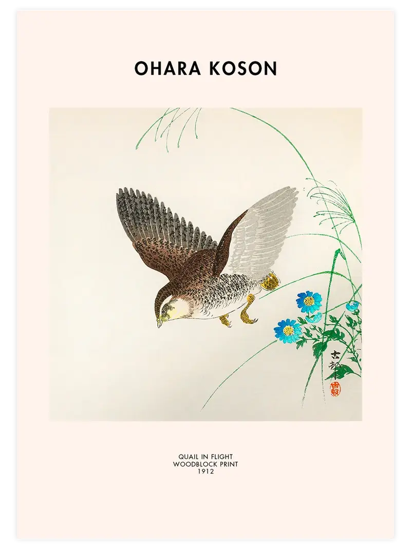 Ohara Koson Quail in Flight - Art Print