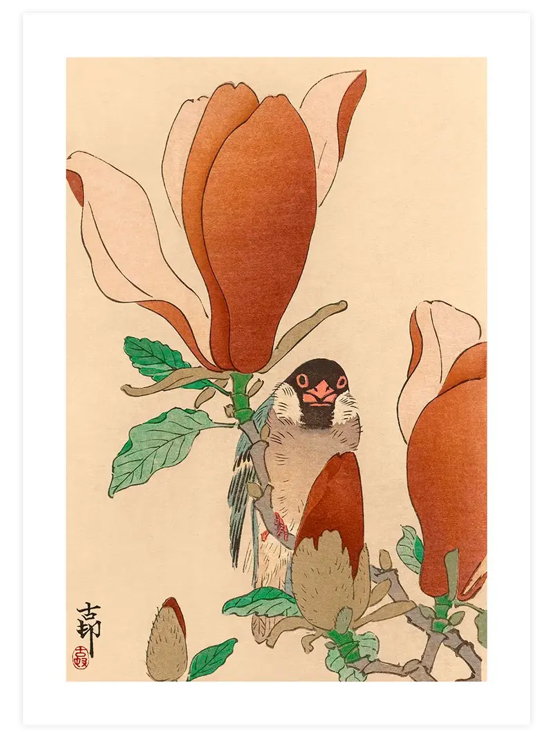 Ohara Koson Sparrow on Blooming Magnolia Branch - Art Print