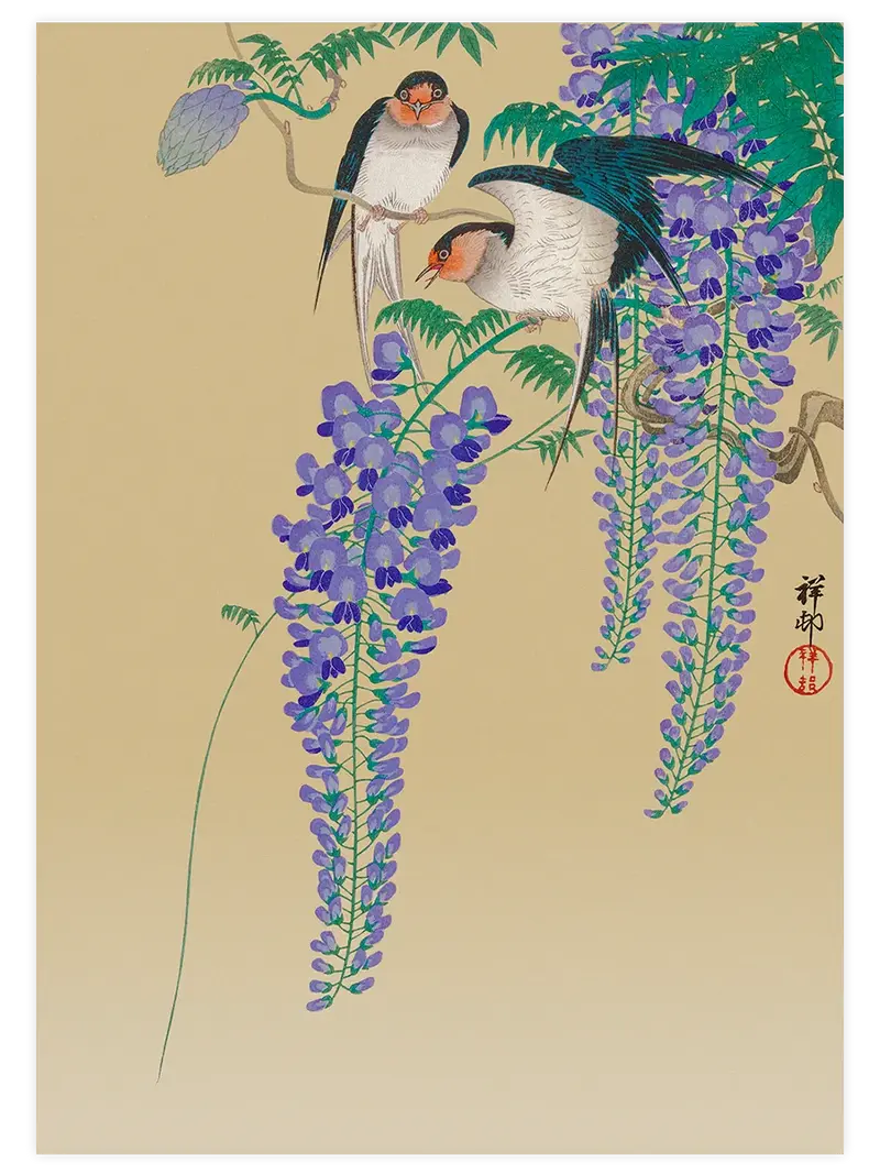 Ohara Koson Swallows and Wisteria - Art Print