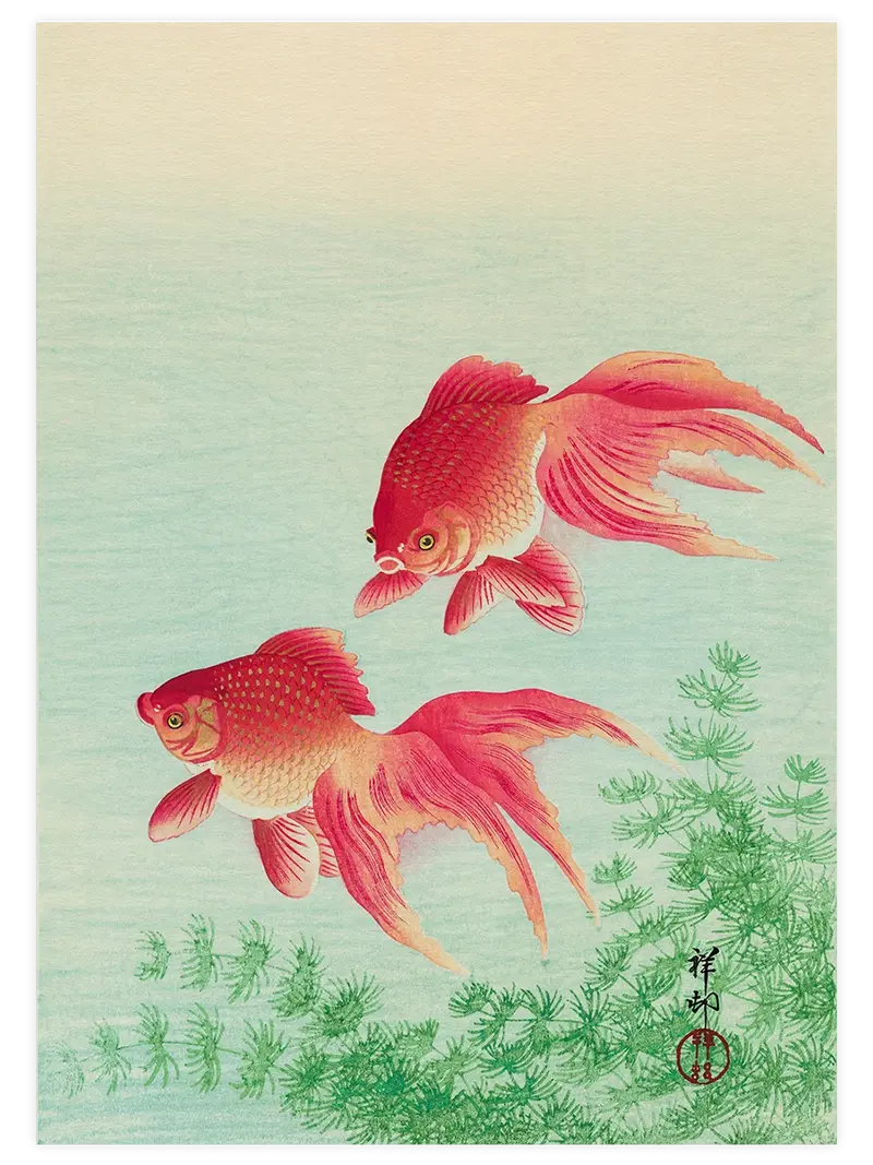 Ohara Koson Two Goldfish - Art Print