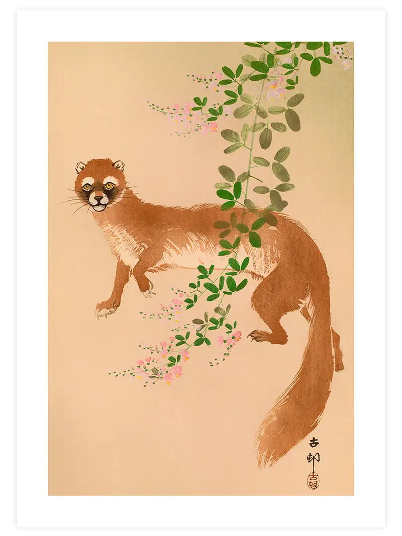 Ohara Koson Weasel and Flowering Bush Clover - Art Print