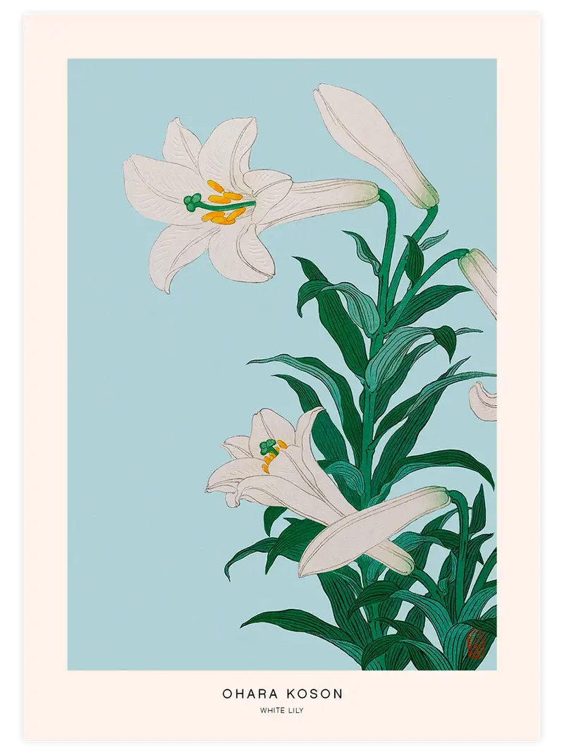 Ohara Koson White Lily - Art Print