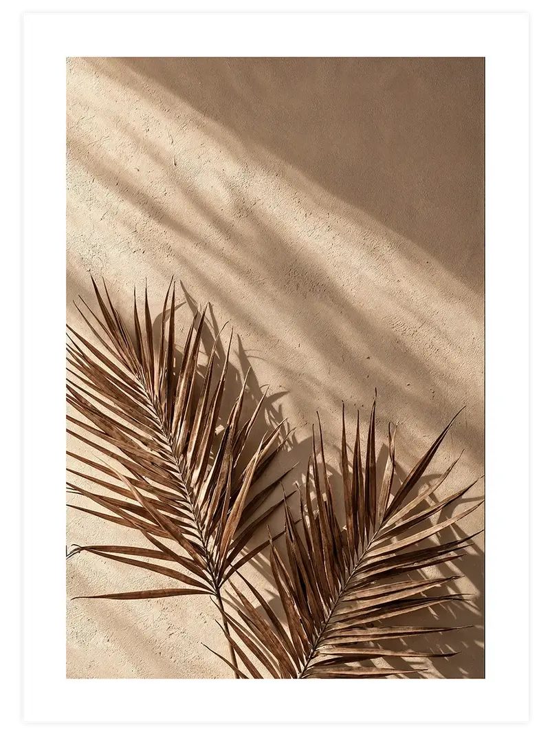 Palmiye Gölgeleri – Art Print