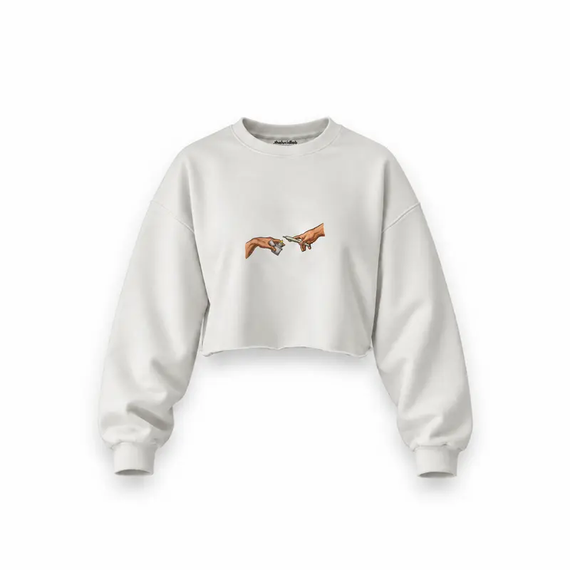 The Creation of Chill Oversize Crop Sweatshirt