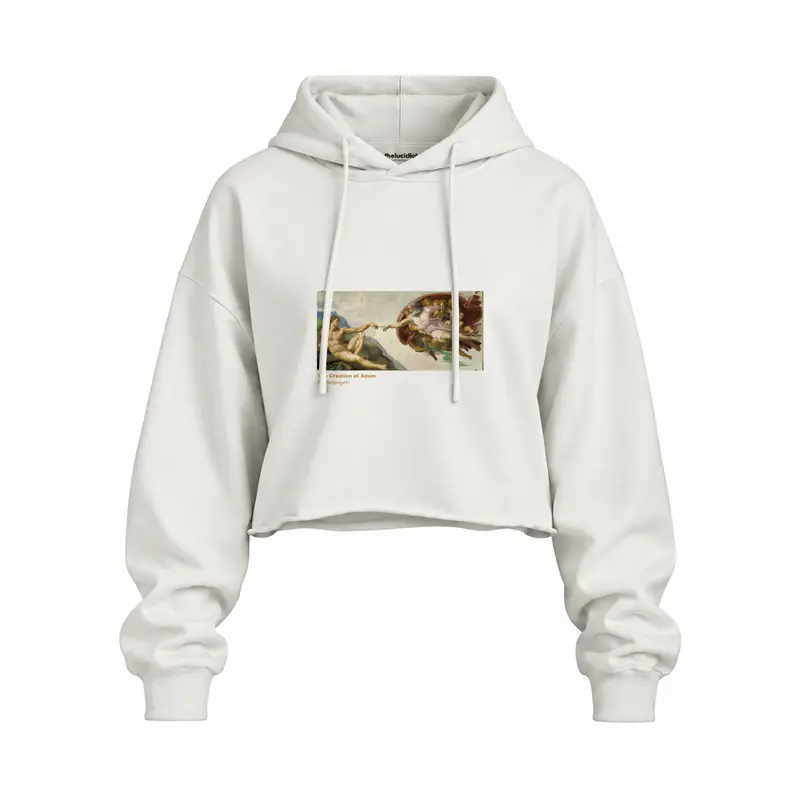 The Creation Oversize Crop Hoodie
