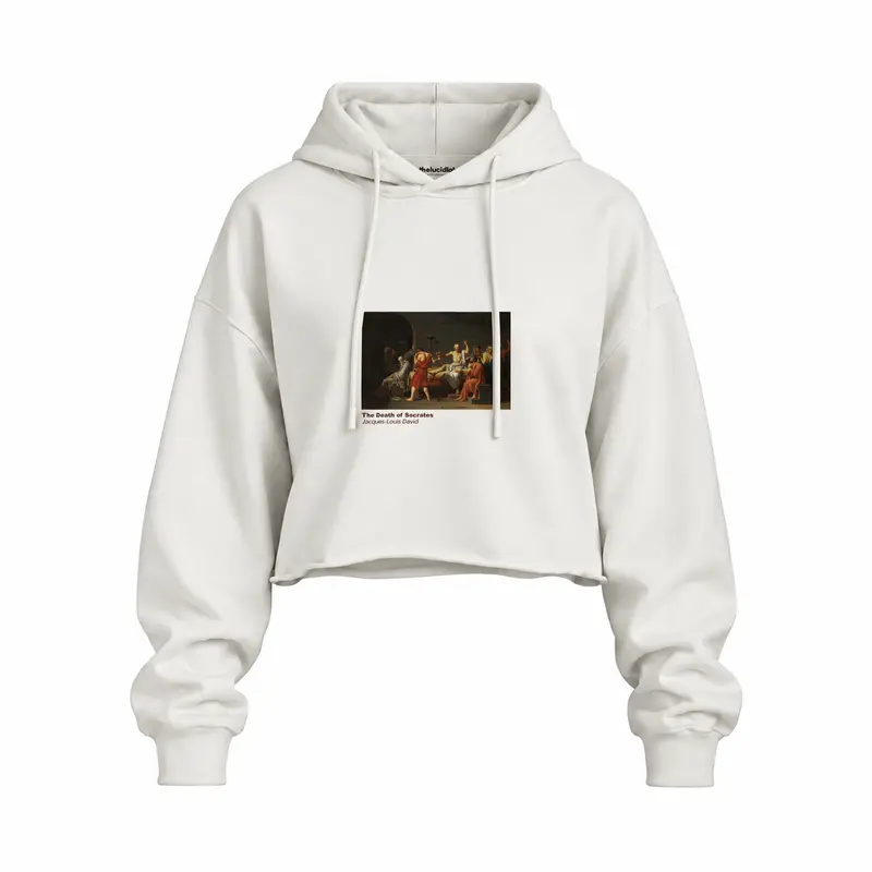 The Death of Socrates Oversize Crop Hoodie