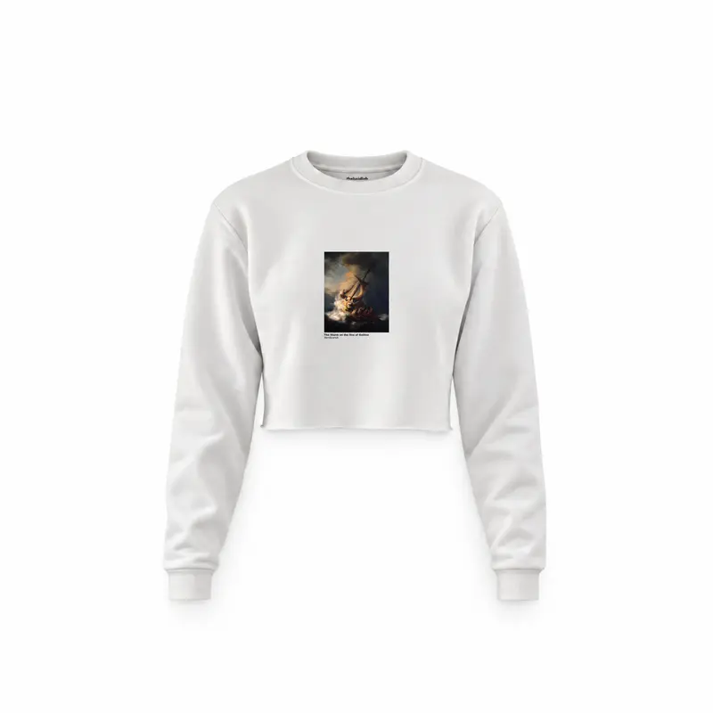 The Storm on the Sea of Galilee Crop Sweatshirt